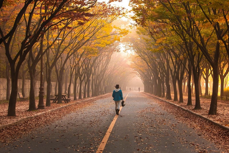 Nature Walking